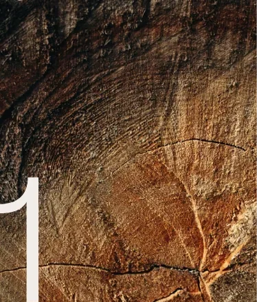 Muebles de madera a medida