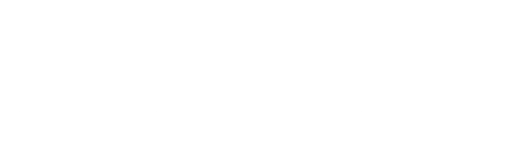 Logo Zokalo
